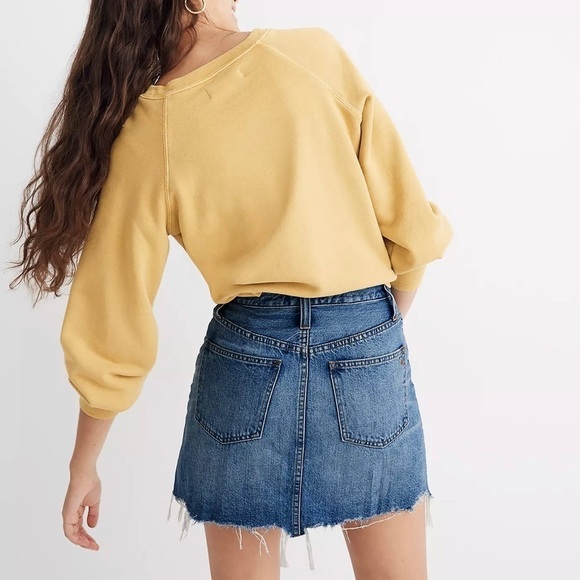 NWOT Madewell Rigid Denim A-Line Mini Skirt in Hughes Wash Button-Front Edition - Picture 3 of 13